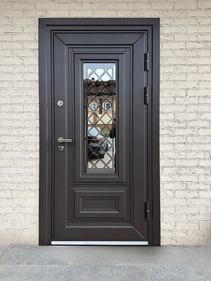 Остекленная металлическая дверь Остекленная металлическая дверь